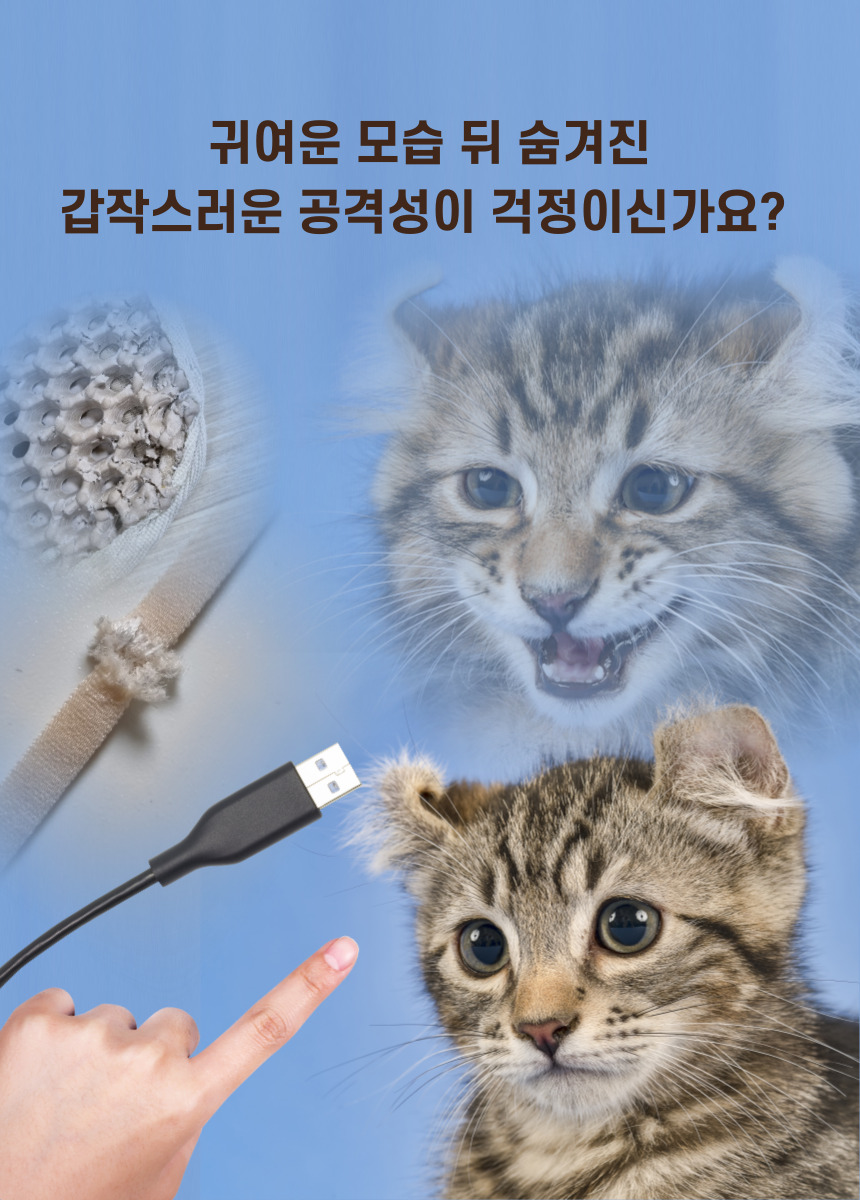 [무료배송] 캣츠크라프트 고양이 이갈이 장난감 고양이치발기 2m 7번째