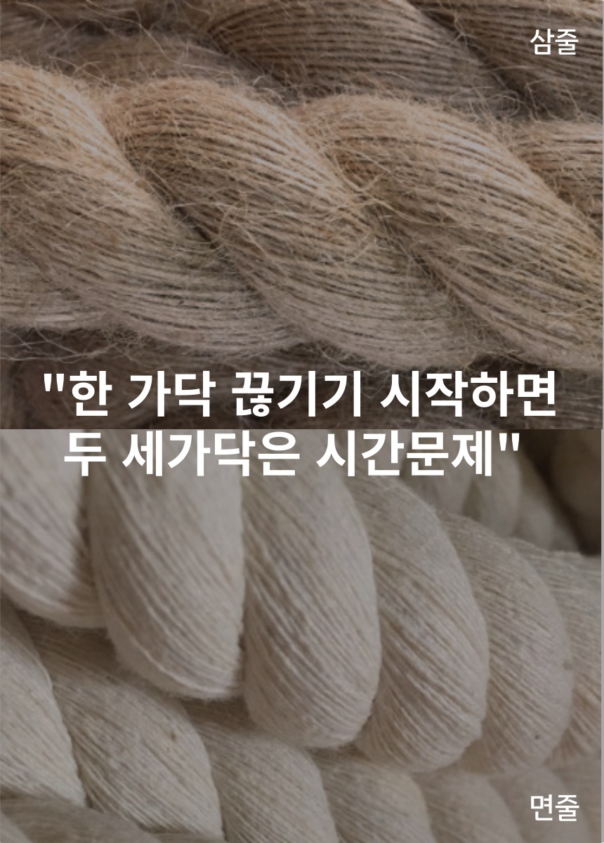 [무료배송] 캣츠크라프트 고양이 이갈이 장난감 고양이치발기 2m 17번째