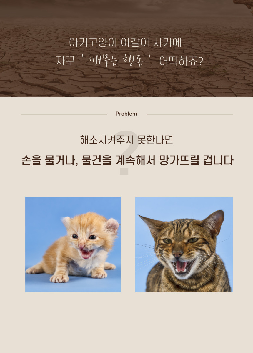 [무료배송] 캣츠크라프트 고양이 이갈이 장난감 고양이치발기 2m 8번째