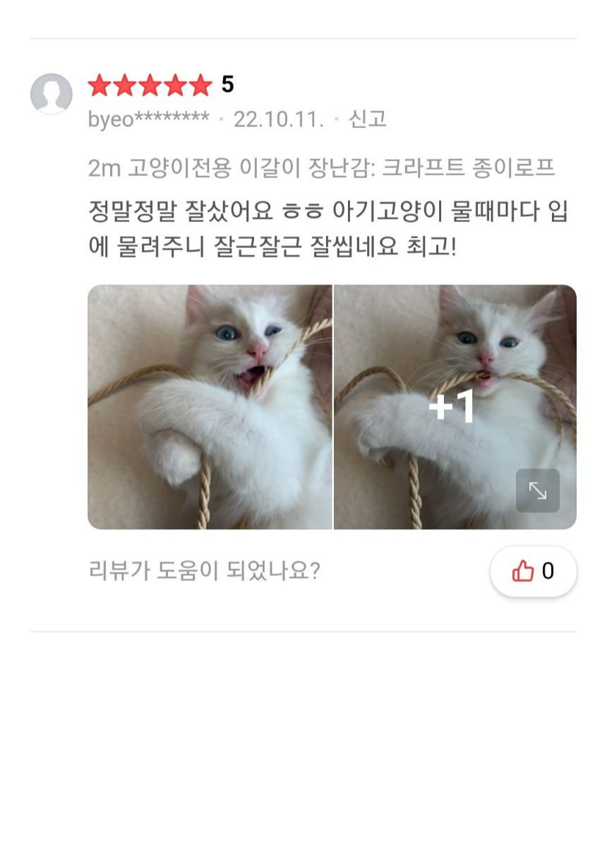 [무료배송] 캣츠크라프트 고양이 이갈이 장난감 고양이치발기 2m 5번째