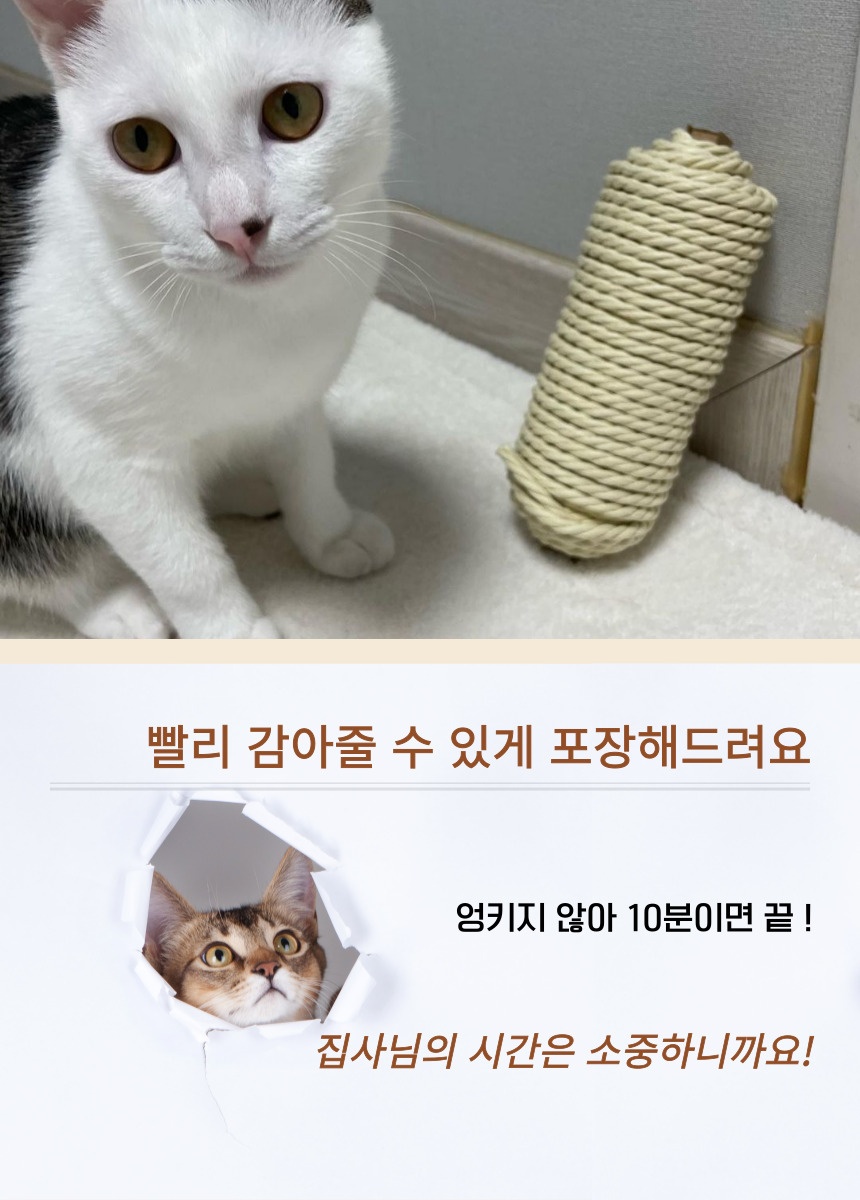 [무료배송] 캣츠크라프트 고양이 이갈이 장난감 고양이치발기 2m 27번째