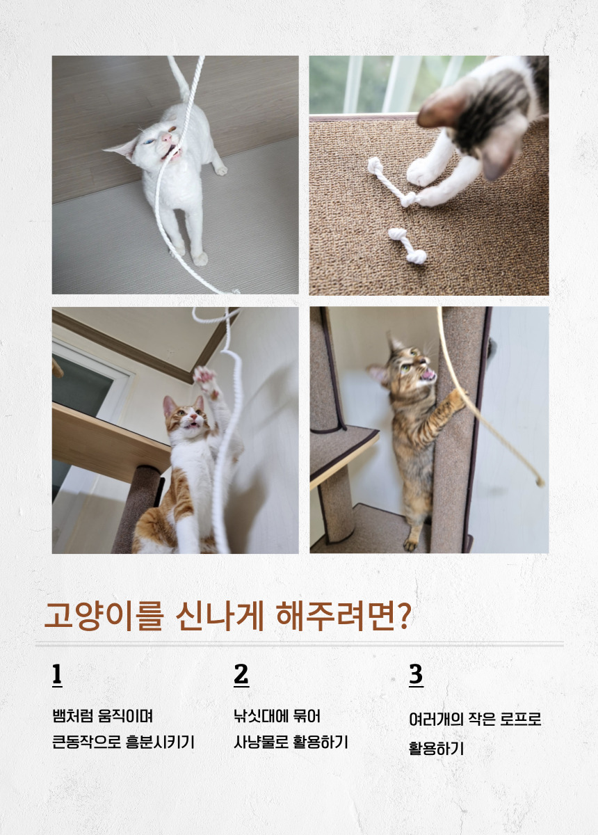 [무료배송] 캣츠크라프트 고양이 이갈이 장난감 고양이치발기 2m 13번째
