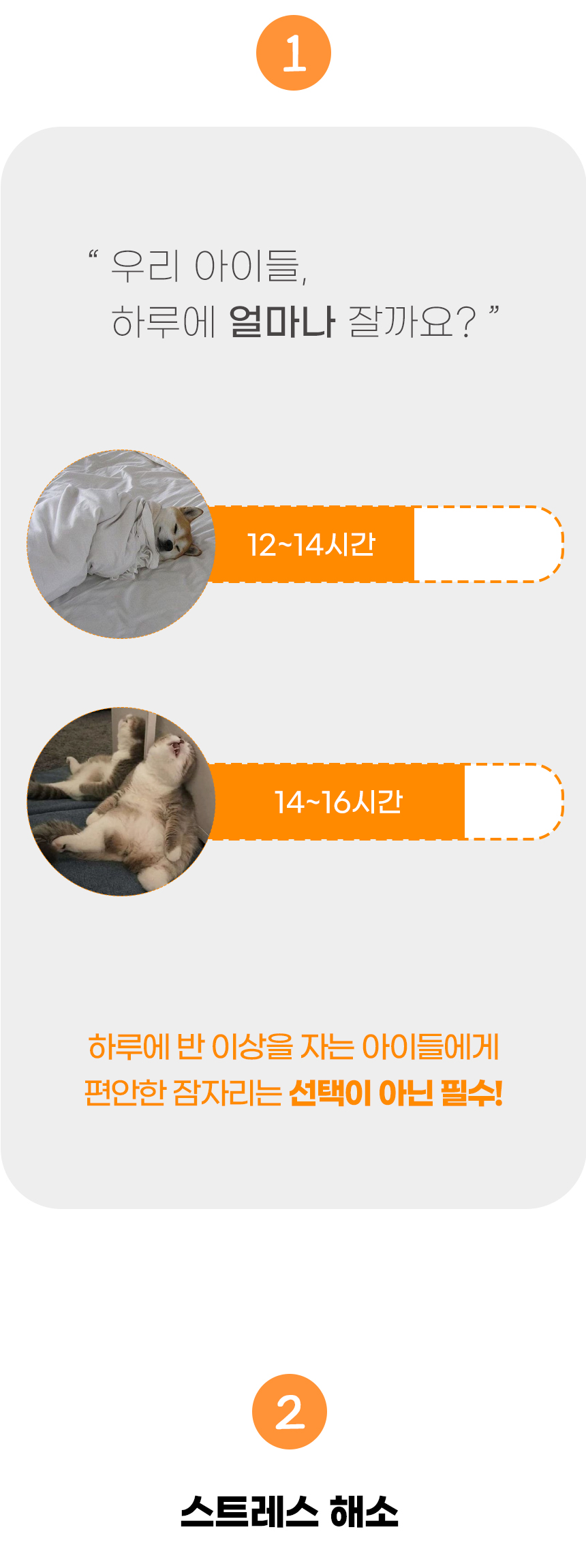 [NEW신상][무료배송] 개과천선 루E 쿠션 (브라운/그레이) 5번째