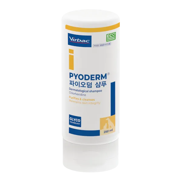버박 파이오덤 샴푸 250ml