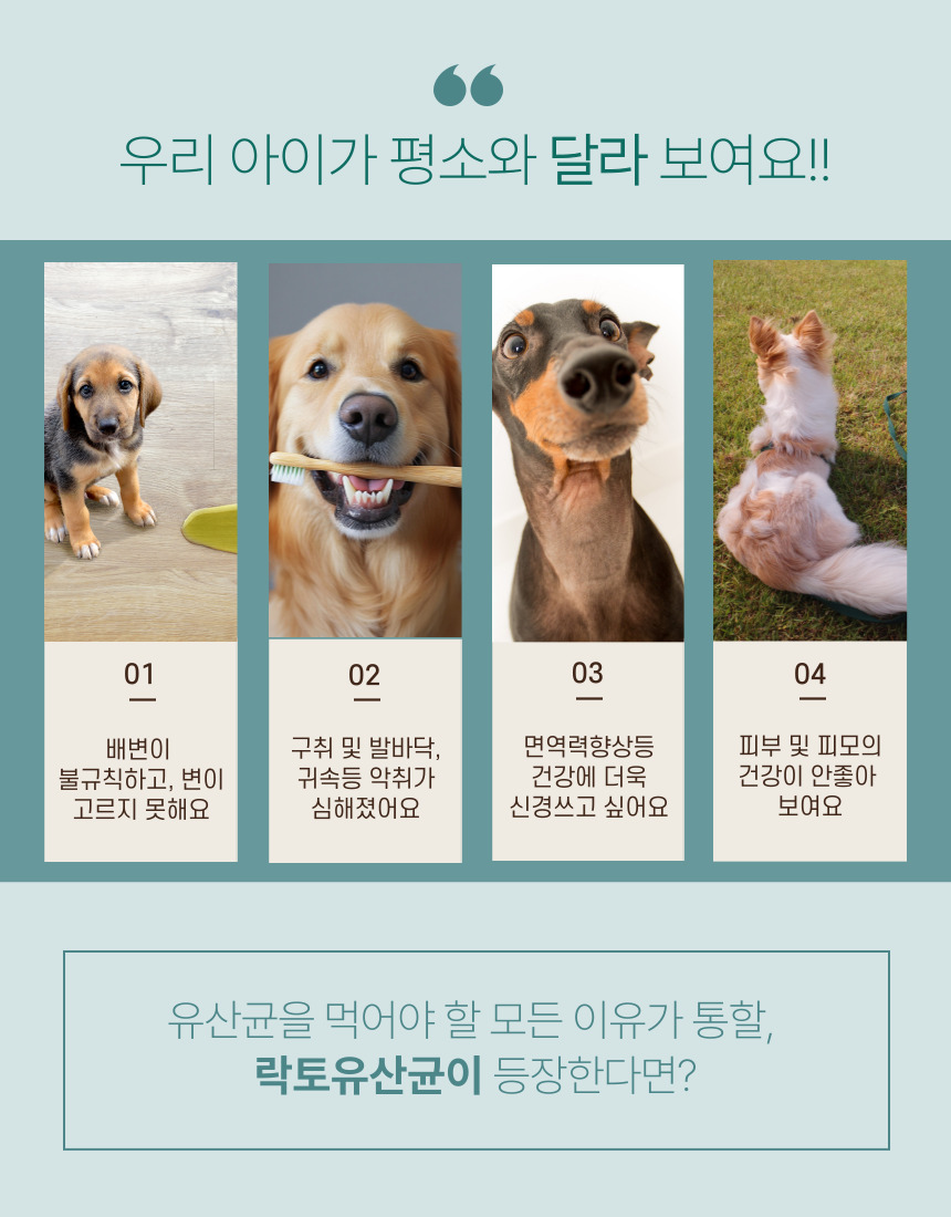 [NEW신상][무료배송] 가치두리 락토 생 유산균 액상 100ml 2번째