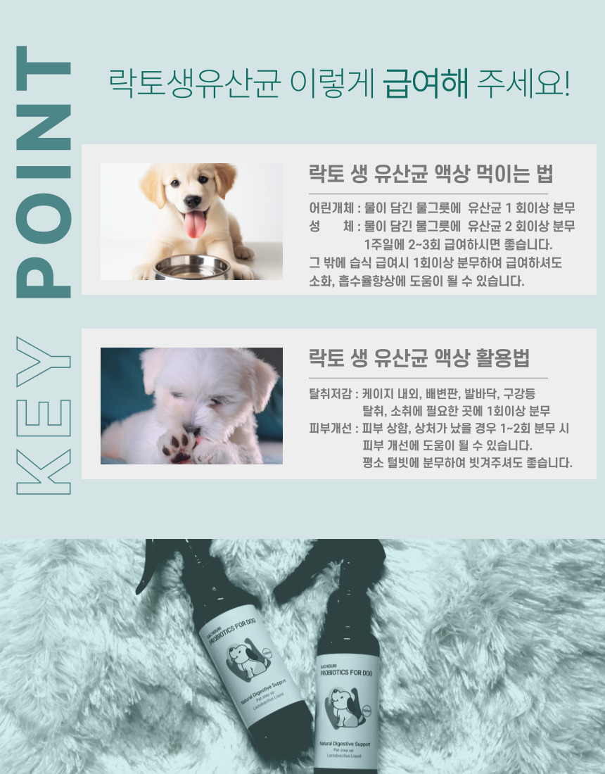 [NEW신상][무료배송] 가치두리 락토 생 유산균 액상 100ml 6번째