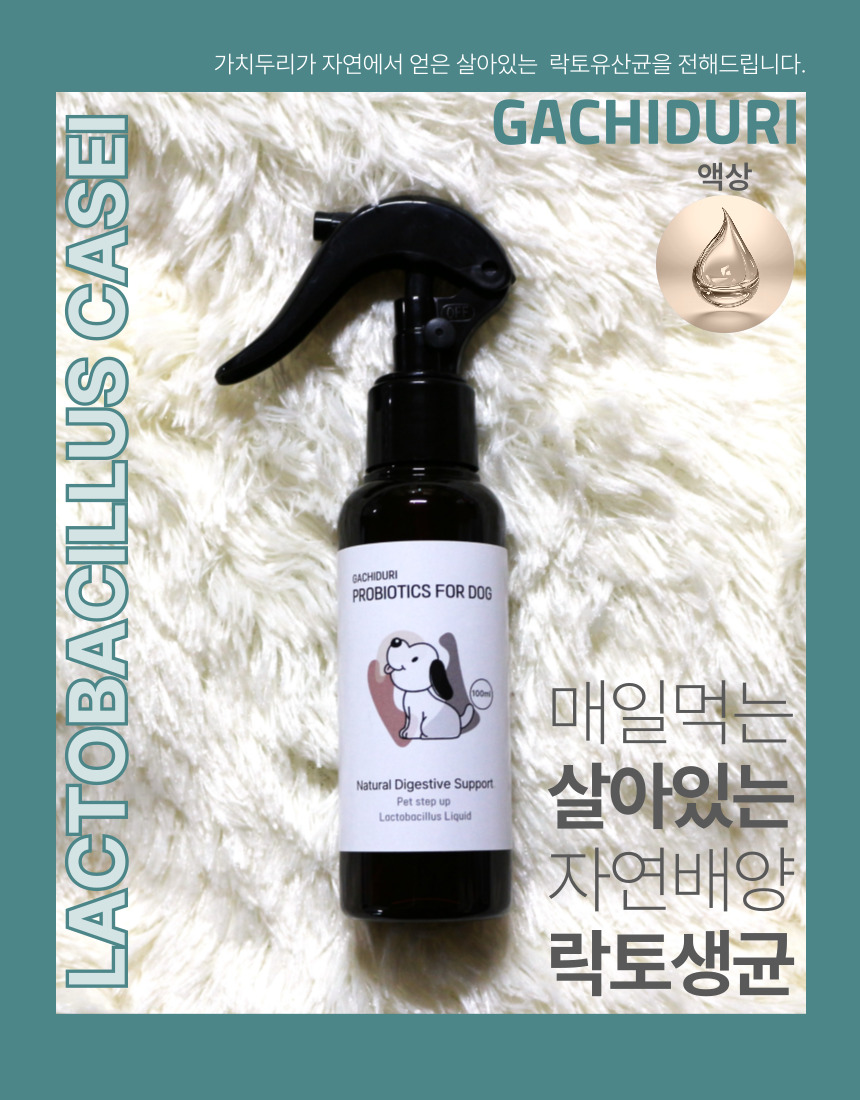 [NEW신상][무료배송] 가치두리 락토 생 유산균 액상 100ml 1번째