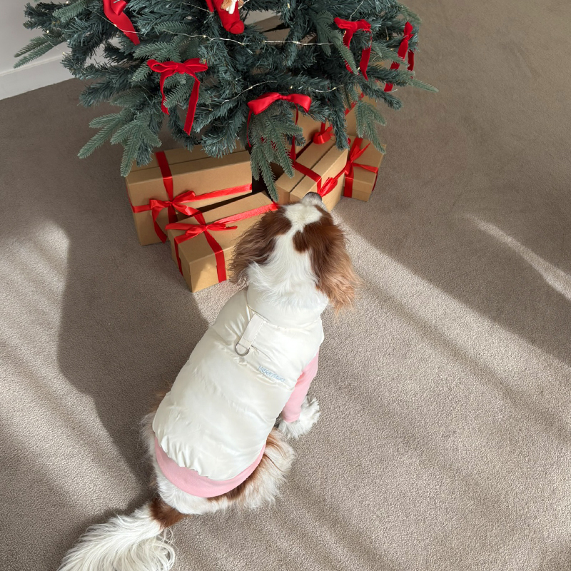 [NEW신상][무료배송] 해피댕댕 리버시블하네스패딩 3종 (화이트,핑크소라) S-2XL 12번째