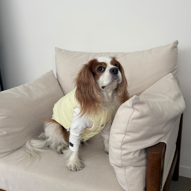 [NEW신상][무료배송] 해피댕댕 리버시블하네스패딩 3종 (화이트,핑크소라) S-2XL 22번째