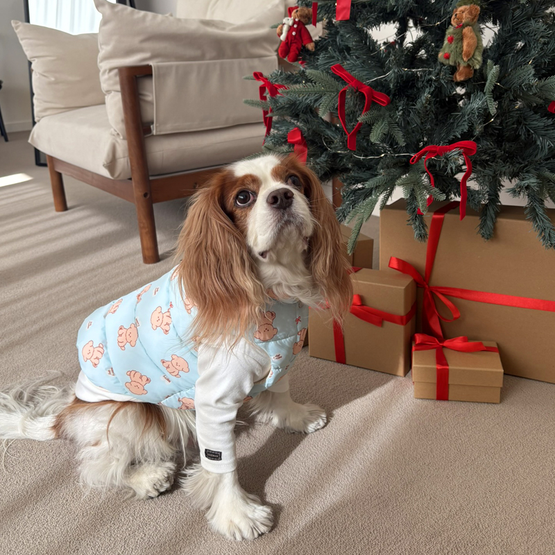 [NEW신상][무료배송] 해피댕댕 리버시블하네스패딩 3종 (화이트,핑크소라) S-2XL 9번째