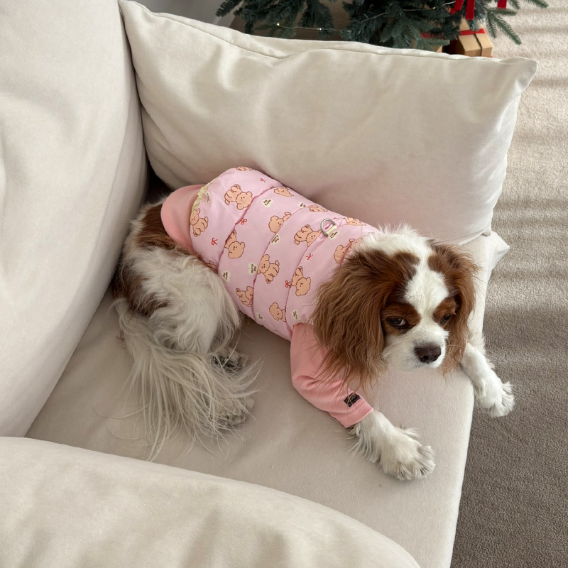 [NEW신상][무료배송] 해피댕댕 리버시블하네스패딩 3종 (화이트,핑크소라) S-2XL 21번째