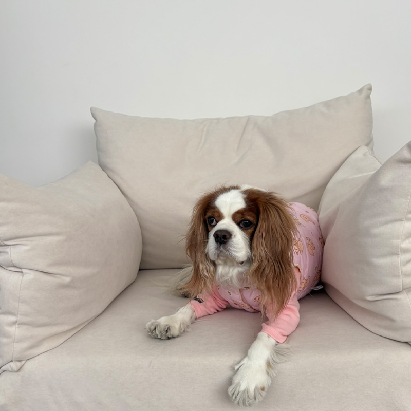 [NEW신상][무료배송] 해피댕댕 리버시블하네스패딩 3종 (화이트,핑크소라) S-2XL 20번째