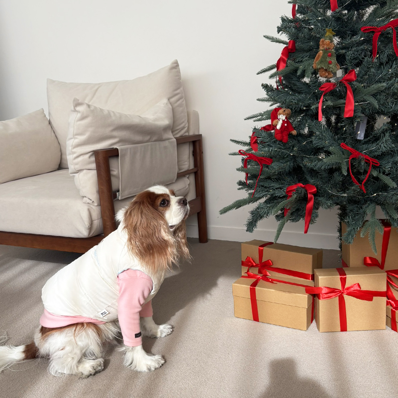 [NEW신상][무료배송] 해피댕댕 리버시블하네스패딩 3종 (화이트,핑크소라) S-2XL 11번째