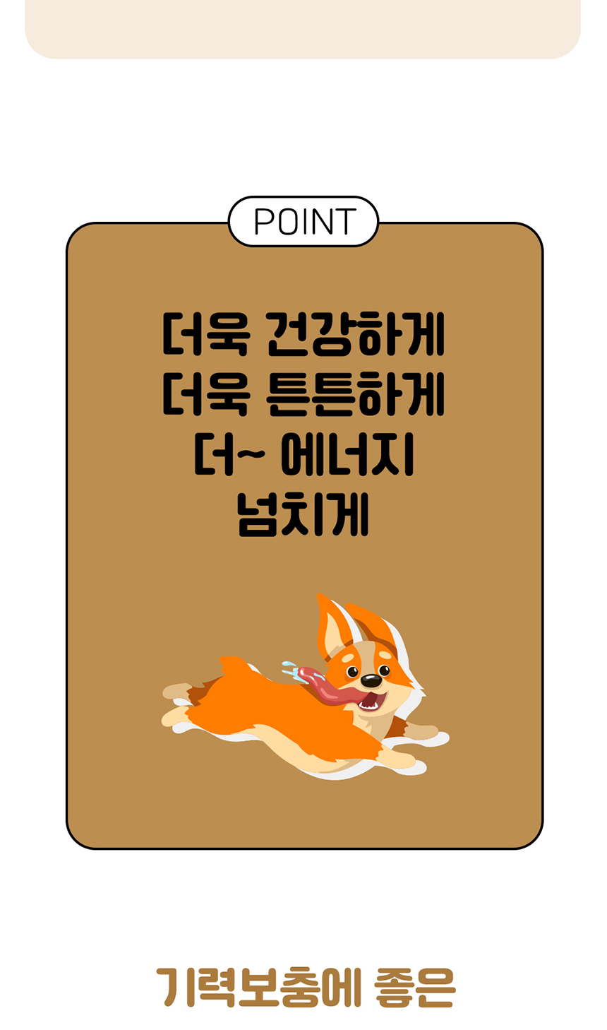 [무료배송] 애구애구 독 스위트키스 비건트릿 5종 34번째