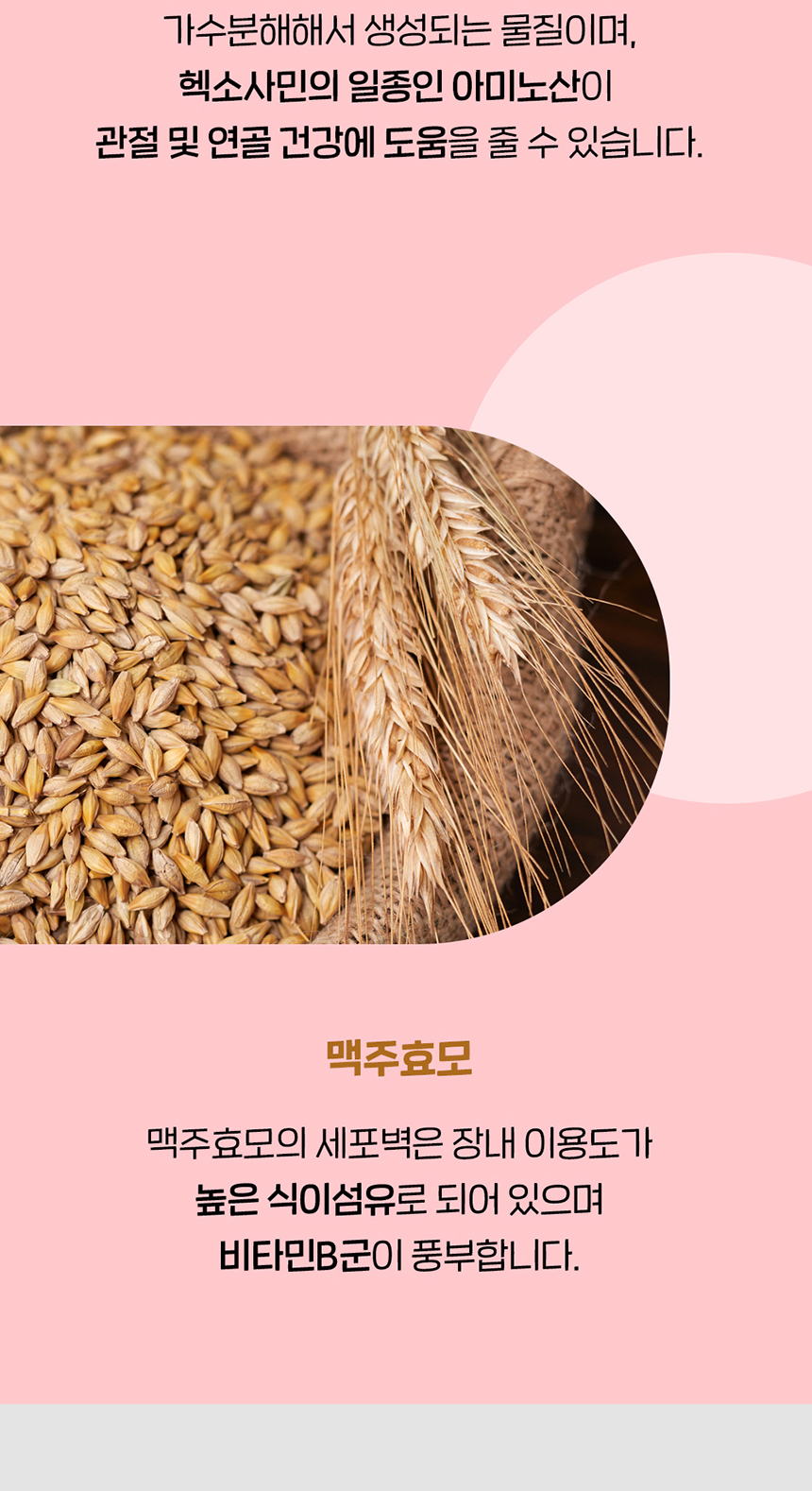 [무료배송] 애구애구 독 스위트키스 비건트릿 5종 54번째
