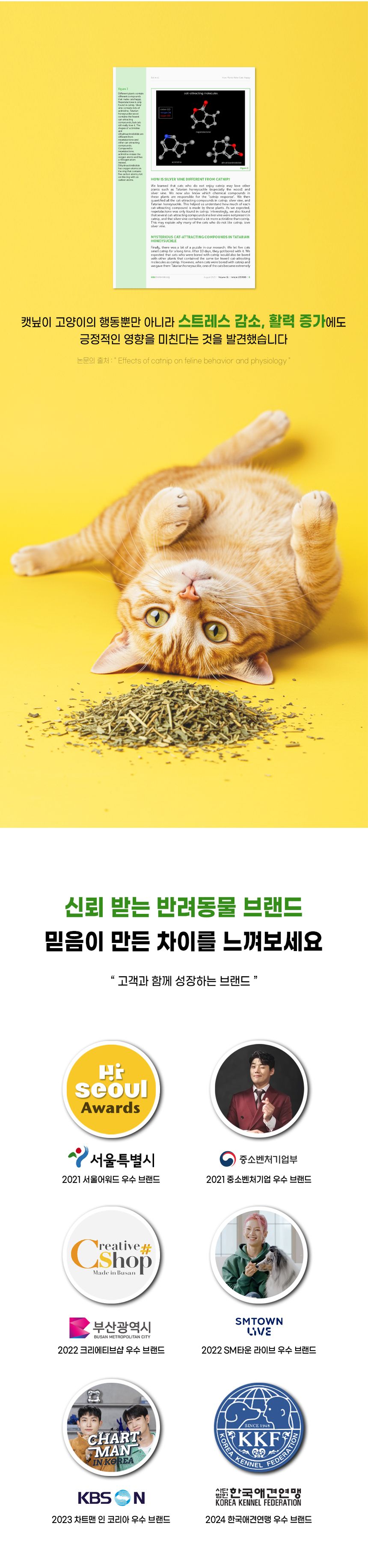 더보양 캣 보양묘술 자연건조 캣닢가루 80g 6번째