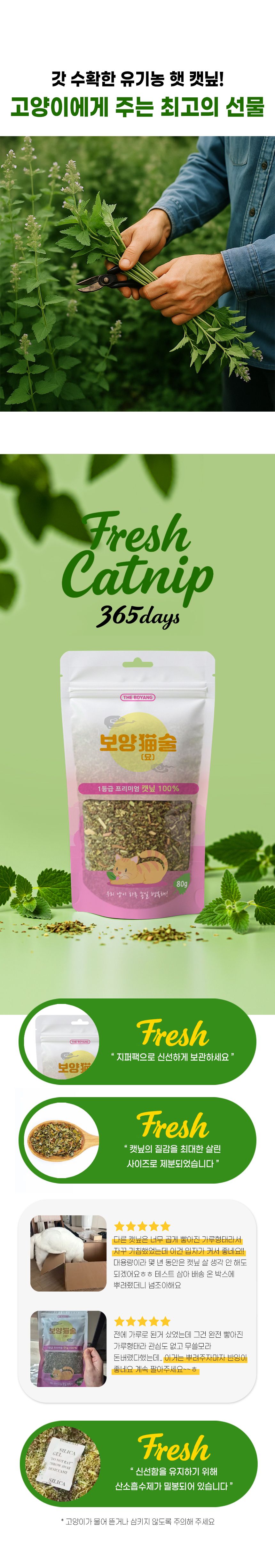더보양 캣 보양묘술 자연건조 캣닢가루 80g 1번째