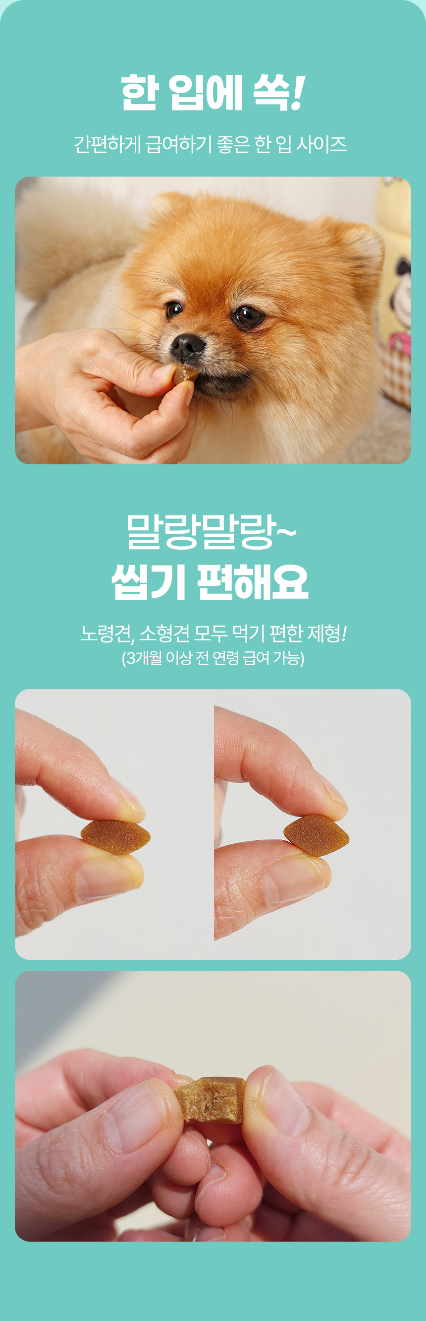 [체험단] [무료배송] 뉴트리로얄 독 콘드로이친 보스웰리아 뼈/관절&슬개골 60g 15번째