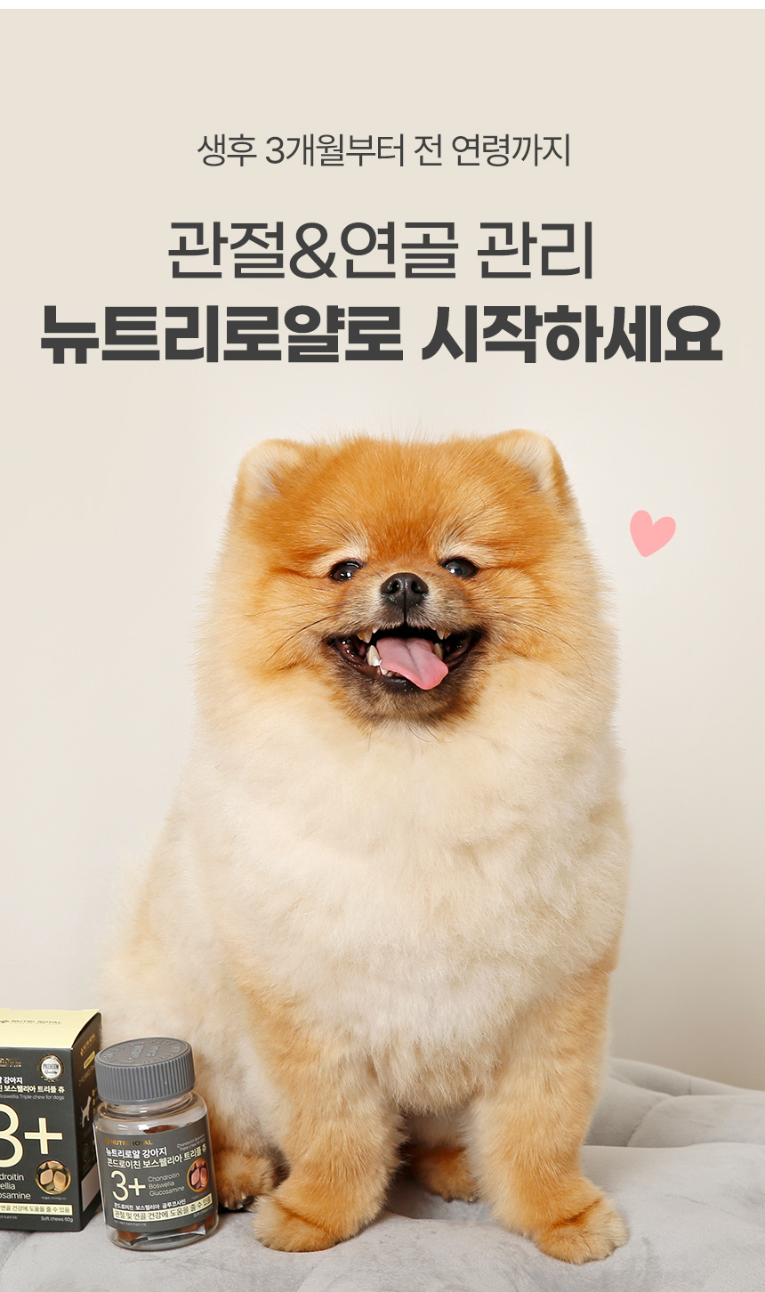 [체험단] [무료배송] 뉴트리로얄 독 콘드로이친 보스웰리아 뼈/관절&슬개골 60g 6번째