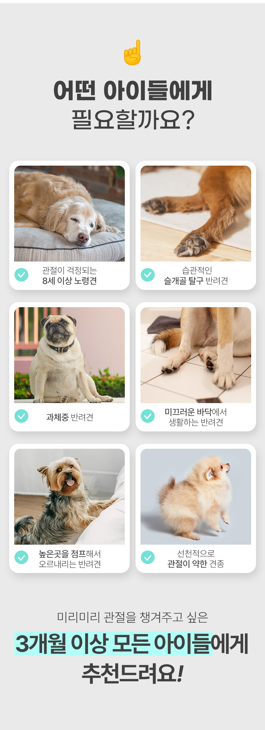 [체험단] [무료배송] 뉴트리로얄 독 콘드로이친 보스웰리아 뼈/관절&슬개골 60g 5번째