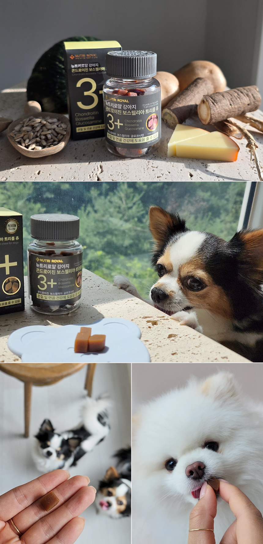 [체험단] [무료배송] 뉴트리로얄 독 콘드로이친 보스웰리아 뼈/관절&슬개골 60g 13번째