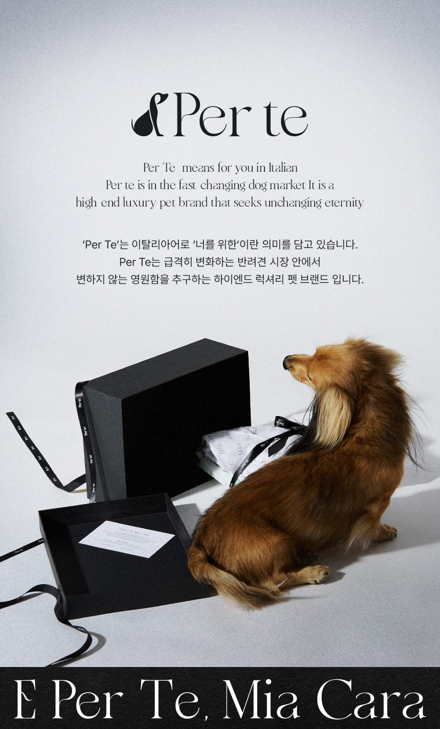 [NEW신상][무료배송] 페르테 강아지 프릴 플라워 원피스 드레스 치마 1번째
