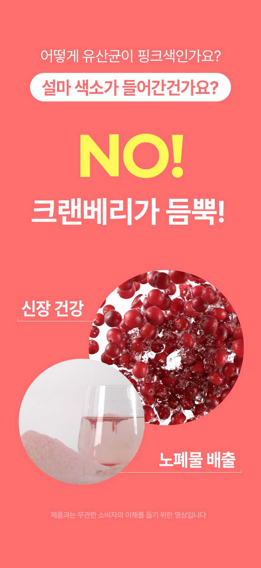 펫생각 데일리케얼 스킨앤코트 프로바이오틱스 60g 18번째