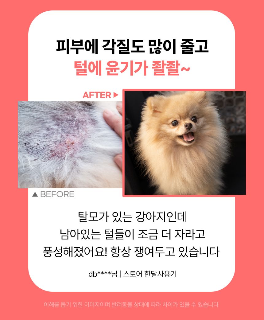 펫생각 데일리케얼 스킨앤코트 프로바이오틱스 60g 3번째