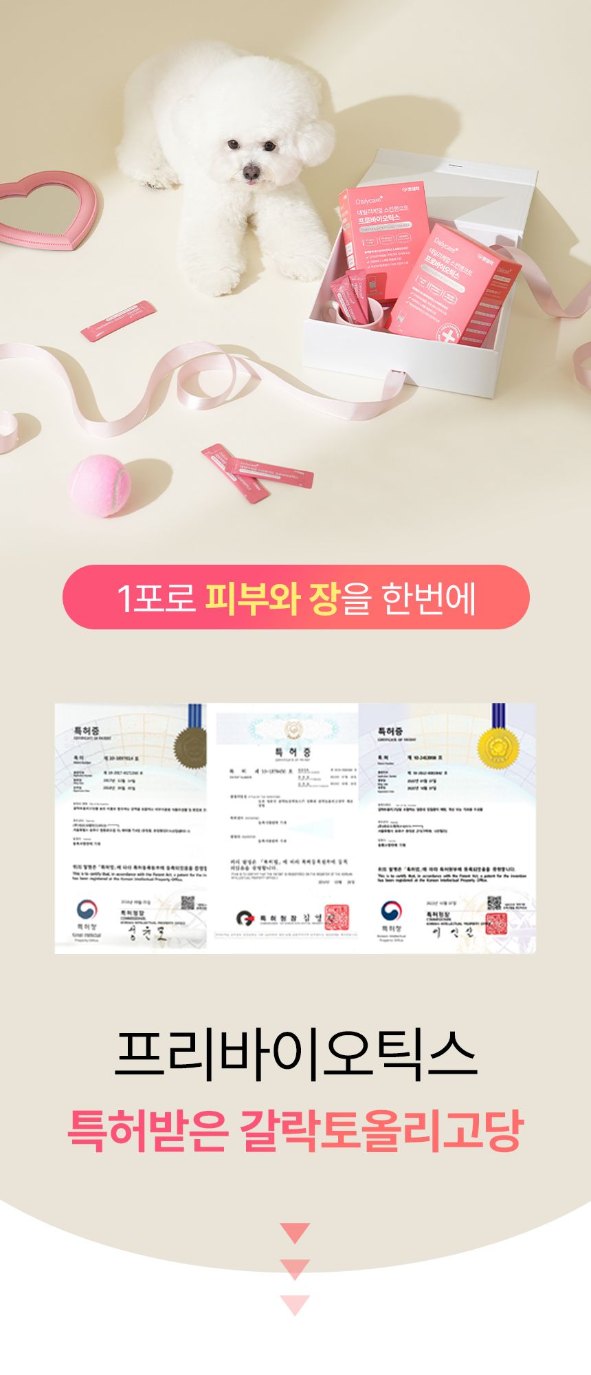 펫생각 데일리케얼 스킨앤코트 프로바이오틱스 60g 12번째