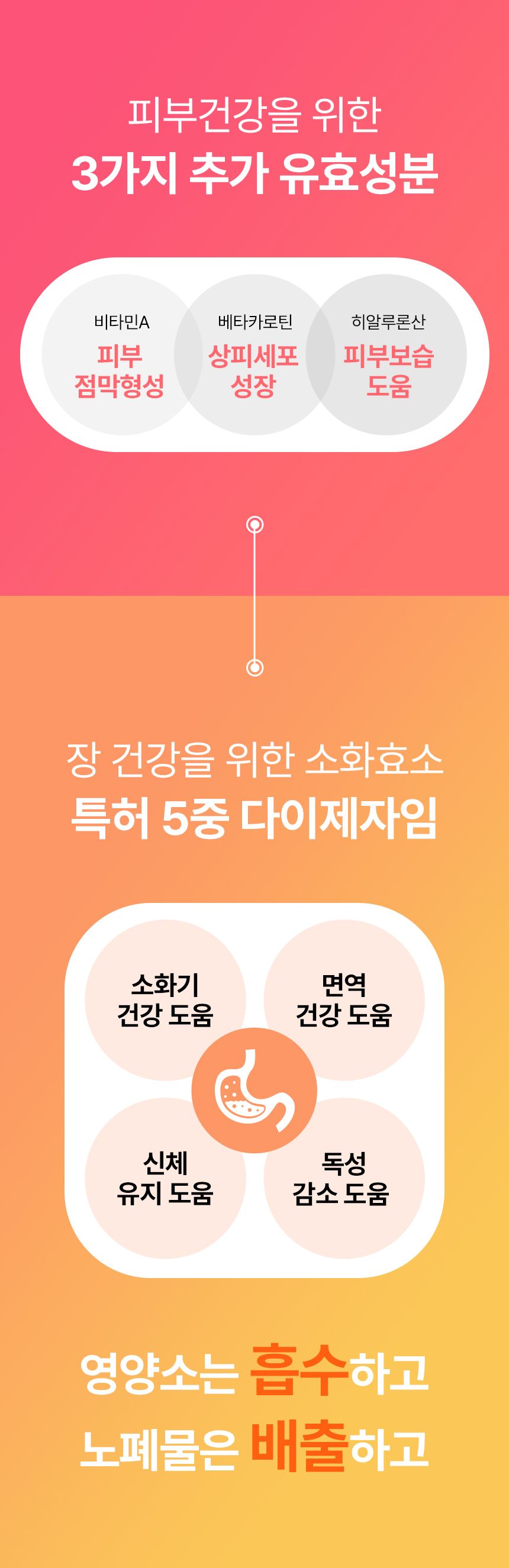 펫생각 데일리케얼 스킨앤코트 프로바이오틱스 60g 15번째