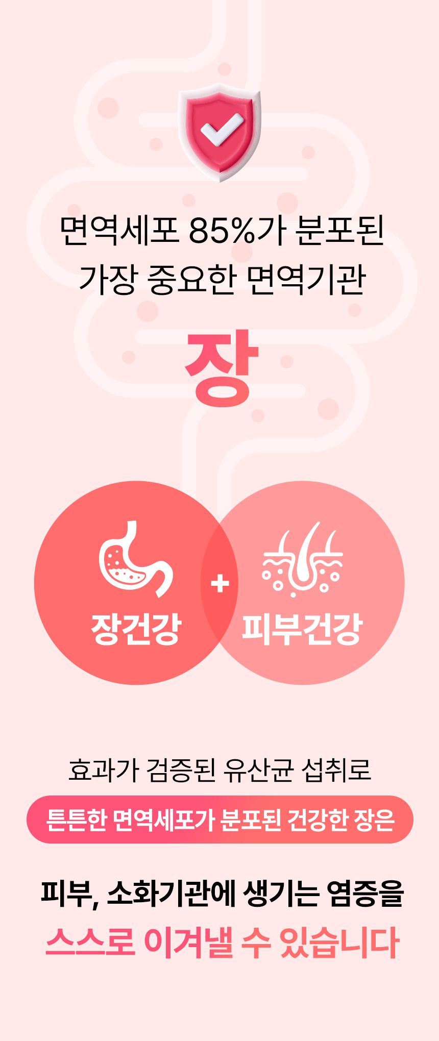 펫생각 데일리케얼 스킨앤코트 프로바이오틱스 60g 8번째