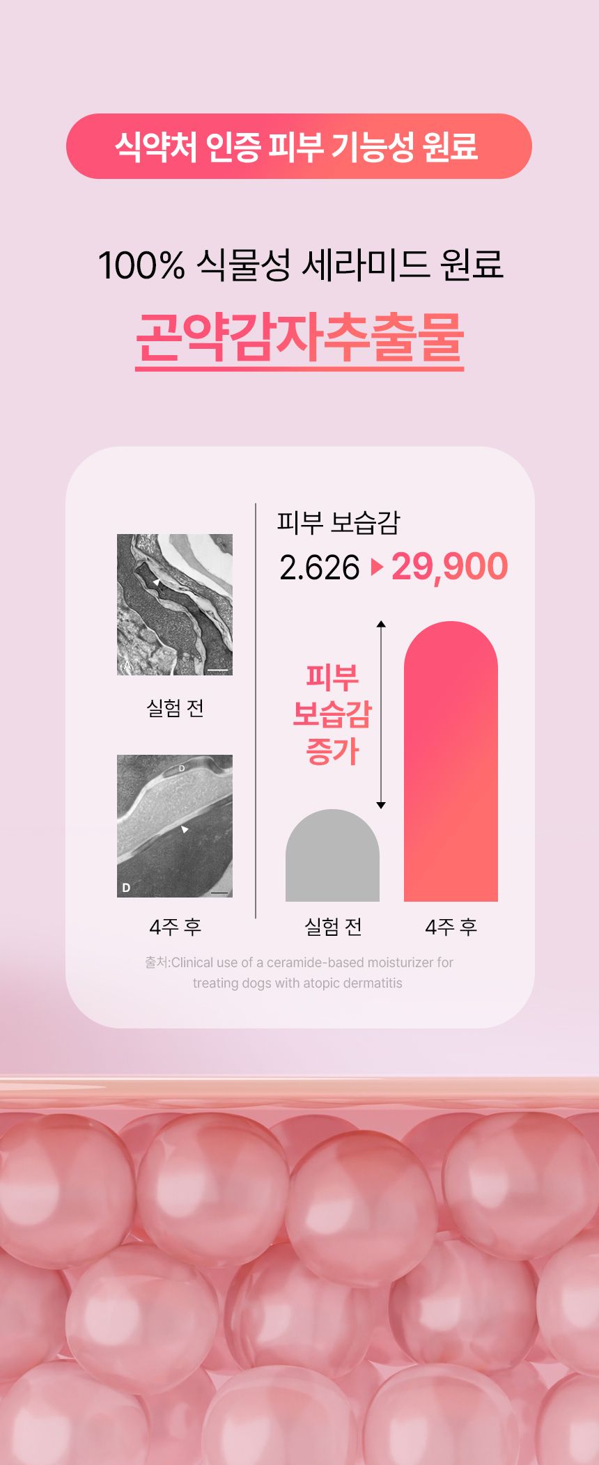 펫생각 데일리케얼 스킨앤코트 프로바이오틱스 60g 14번째