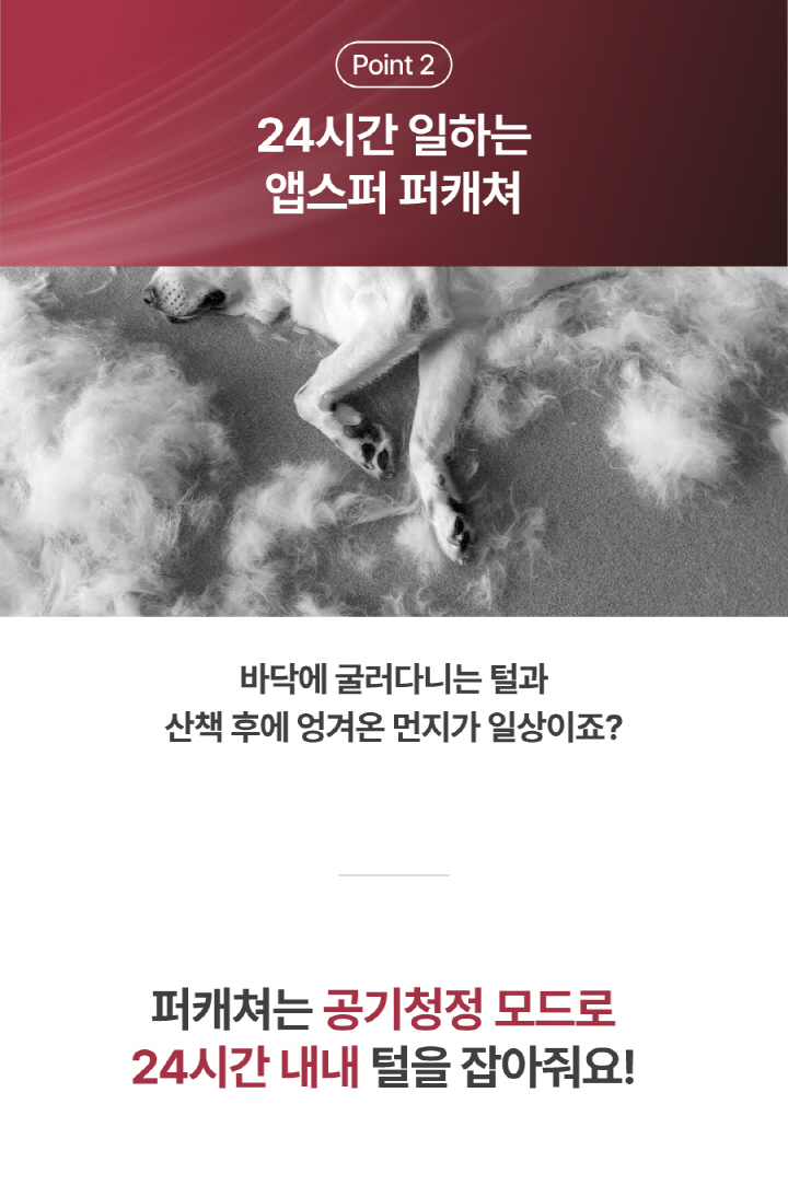 [NEW신상][무료배송] 앱스퍼 퍼캐쳐 털포집기 털흡입기 털청기 펫 공기청정기(H13) 적외선 관절케어 펫드라이기 AF-100 20번째
