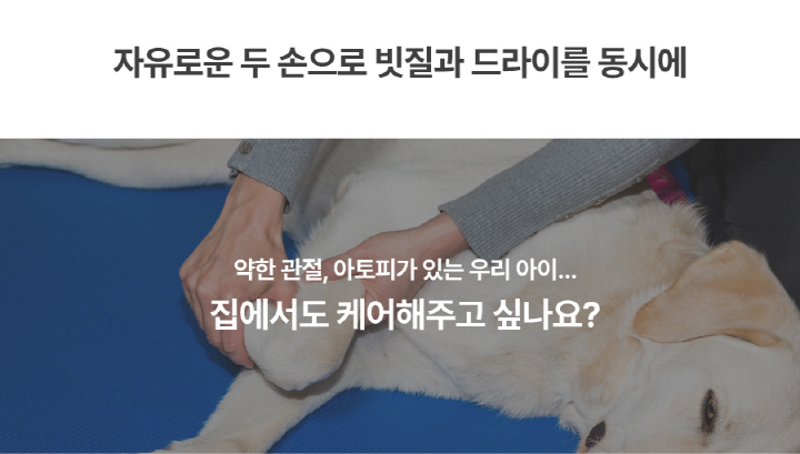 [NEW신상][무료배송] 앱스퍼 퍼캐쳐 털포집기 털흡입기 털청기 펫 공기청정기(H13) 적외선 관절케어 펫드라이기 AF-100 47번째
