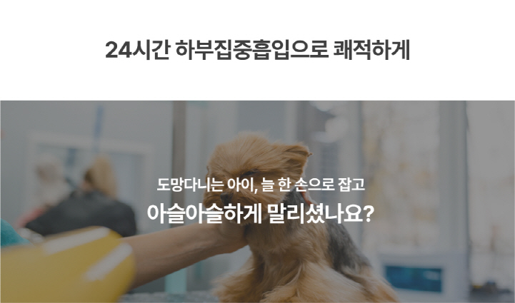[NEW신상][무료배송] 앱스퍼 퍼캐쳐 털포집기 털흡입기 털청기 펫 공기청정기(H13) 적외선 관절케어 펫드라이기 AF-100 45번째