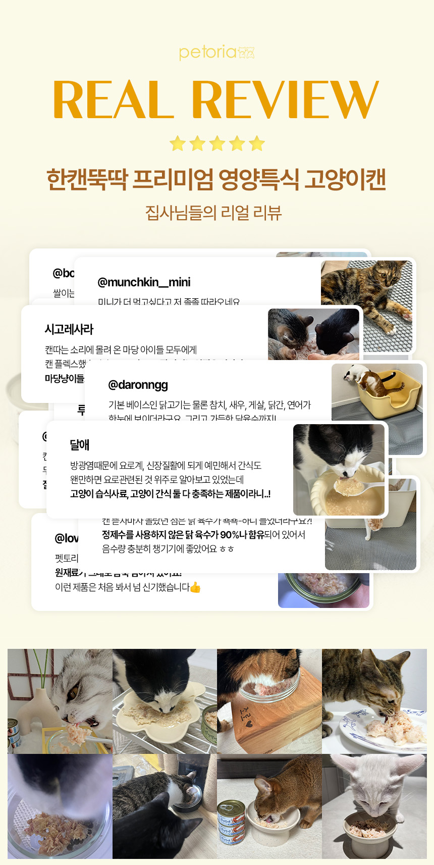 [NEW신상][24개] 펫토리아 한캔뚝딱 프리미엄 영양특식 고양이캔 치킨 베스트 3종 콤보 85g 3번째