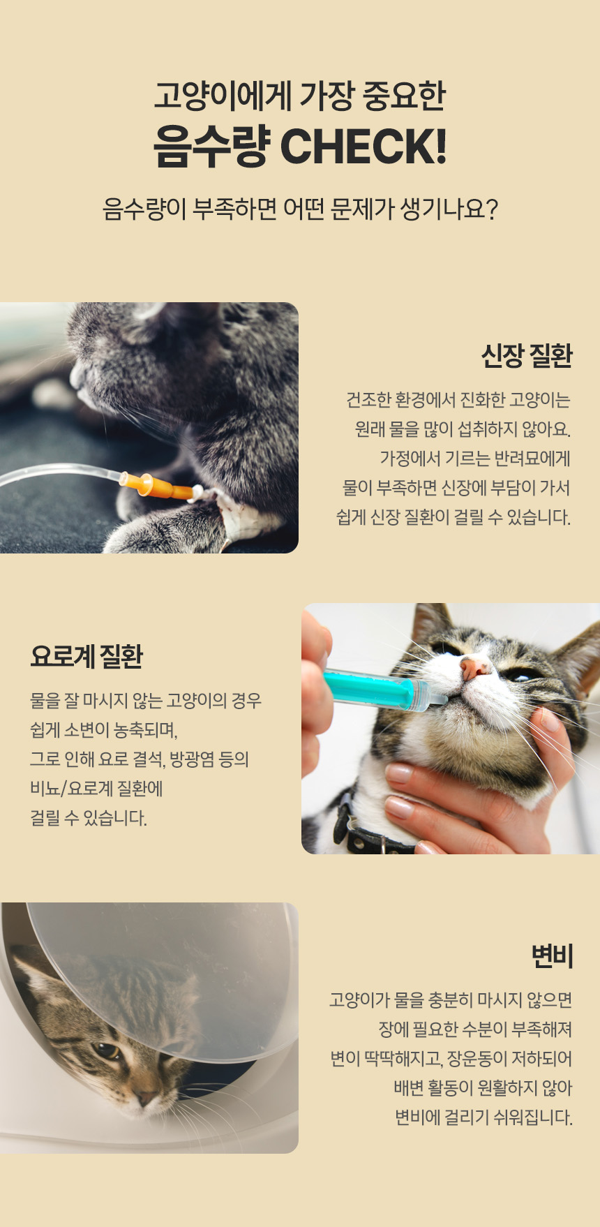 [NEW신상][24개] 펫토리아 한캔뚝딱 프리미엄 영양특식 고양이캔 치킨 베스트 3종 콤보 85g 24번째