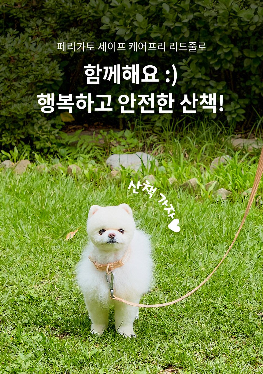 [무료배송] 페리가토 독 세이프 케어프리 리드줄 퍼플/블루/베이지/그레이/그린 7번째