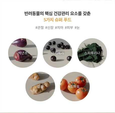 [NEW신상]펫트리언츠 루트릿덕 핑크 백년초 동결건조 트릿 120g 4번째