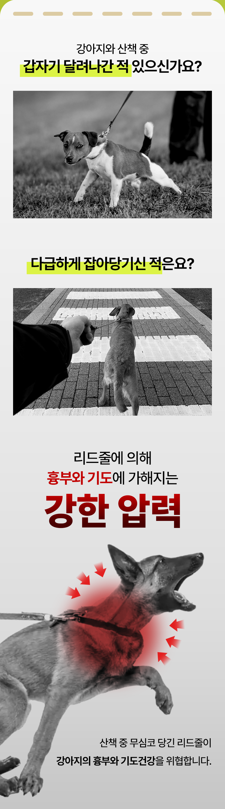 [NEW신상][무료배송] 펫팀 핸즈프리 산책 리드줄 충격완화 소프트바운스 2번째