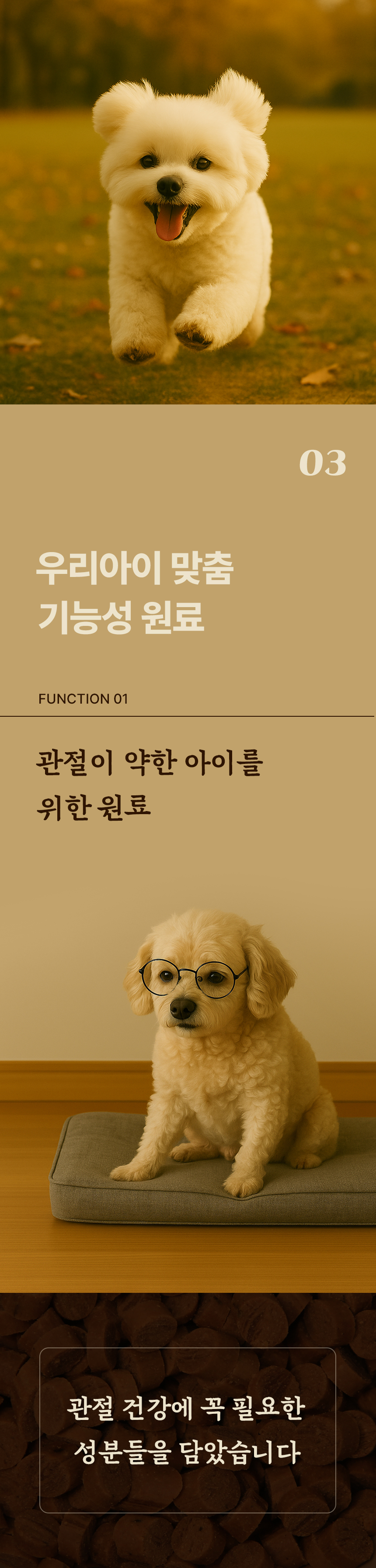 [무료배송] 데이스포 독 명품수제사료 과일식단 1kg 12번째