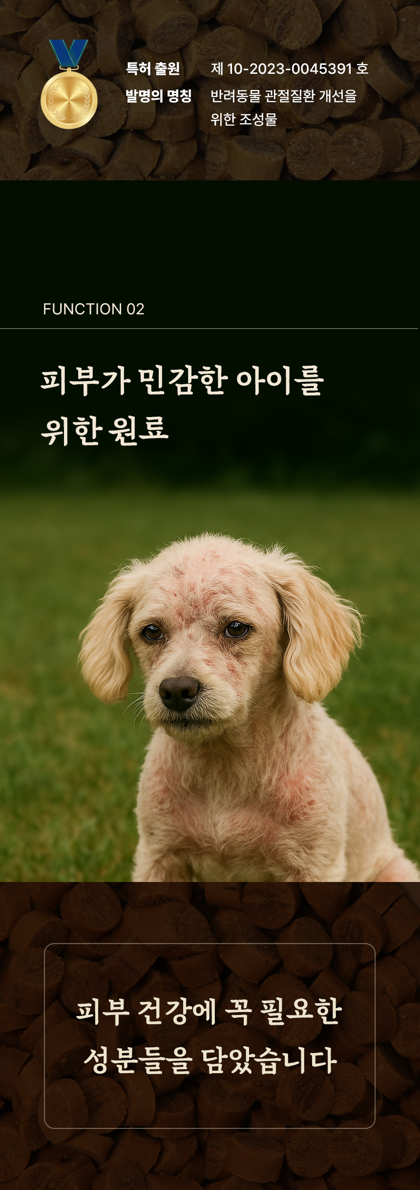 [무료배송] 데이스포 독 명품수제사료 과일식단 1kg 16번째