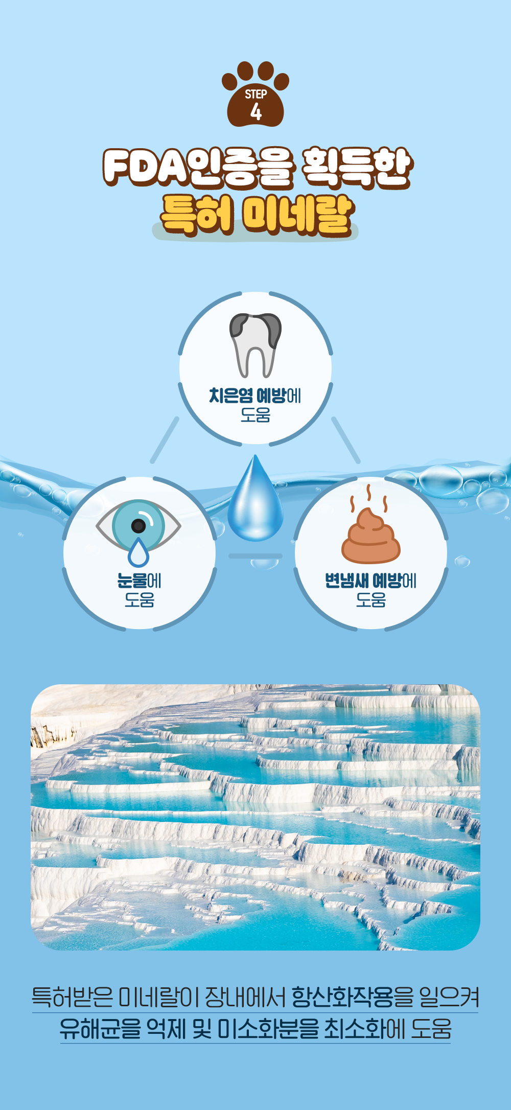 잘먹잘싸 독 그레인프리 피부&모질&눈물자국 사료 1.5kg 6번째