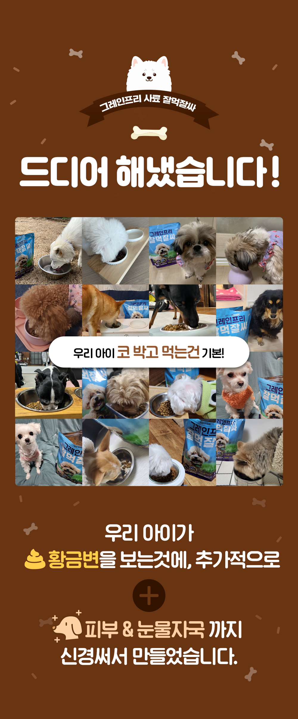 잘먹잘싸 독 그레인프리 피부&모질&눈물자국 사료 1.5kg 1번째