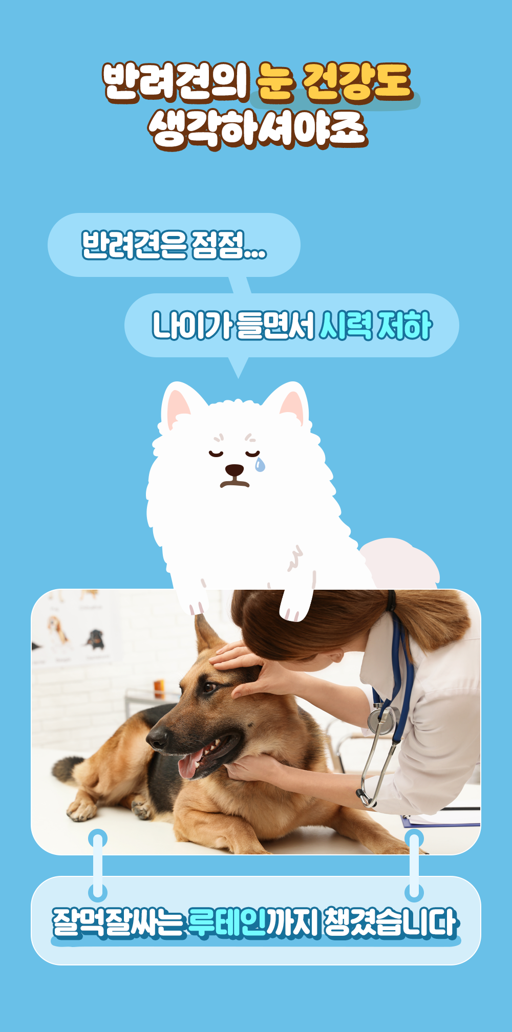 잘먹잘싸 독 그레인프리 피부&모질&눈물자국 사료 1.5kg 10번째