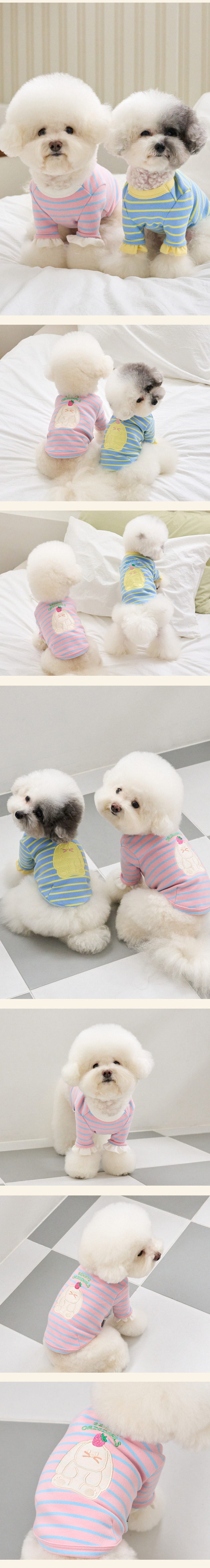 [무료배송] 베니즈 샤이 버니 티셔츠 스카이블루 S-XL 2번째