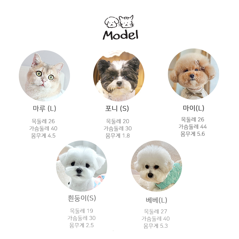 [NEW신상][무료배송] 개달당 민트봉봉 강아지 고양이 누빔 조끼 원피스/하네스 S-XL 6번째