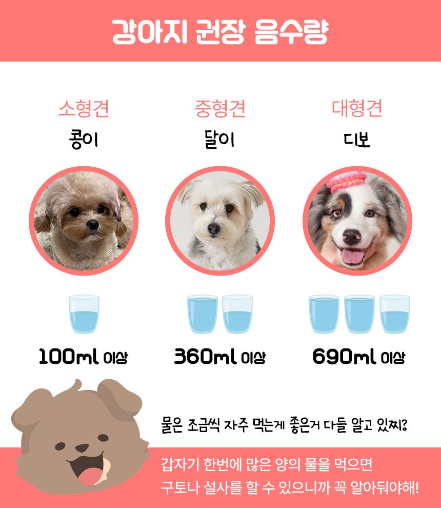 펫생각 독 하루조이 테피 에너제틱 딸기&요거트 14개입 13번째
