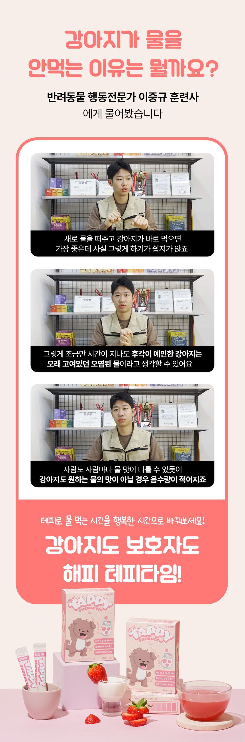 펫생각 독 하루조이 테피 에너제틱 딸기&요거트 14개입 24번째
