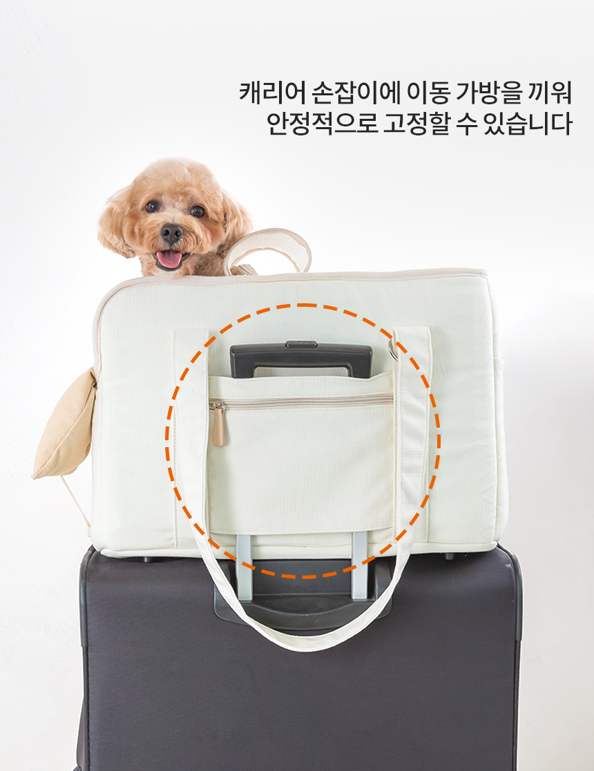 [무료배송] 레토 반려동물 올쿠션 이동가방 L 16번째